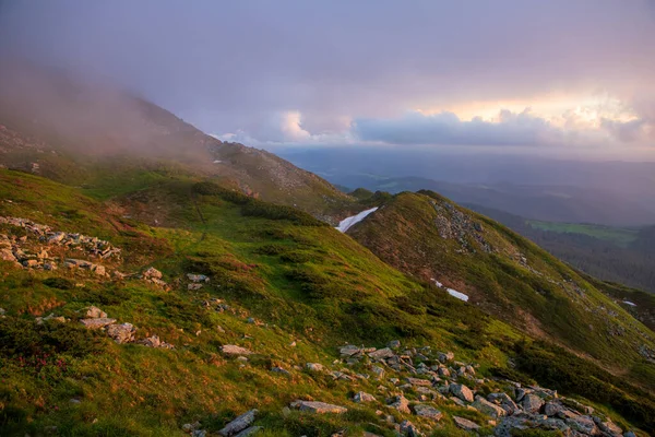 Fog Illuminated Evening Sun Covers Slopes Mountains Carpathians Ukraine — Stock Photo, Image