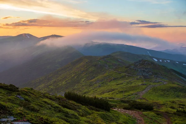 Fog Illuminated Evening Sun Covers Slopes Mountains Carpathians Ukraine — Stock Photo, Image