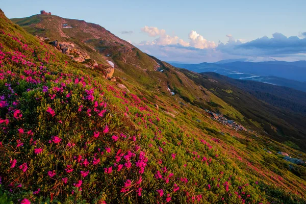 Karpaternas Sluttningar Upplysta Kvällssolen Ukraina — Stockfoto