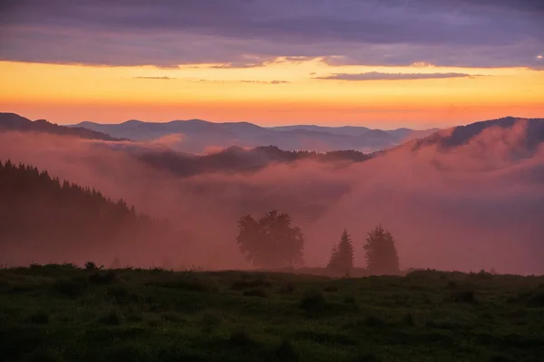 Карпатские Горы Освещенные Восходящим Солнцем Украина — стоковое фото
