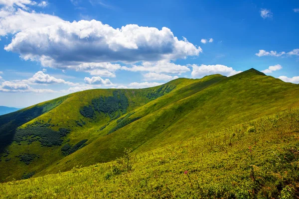 Wonderful Views Eastern Carpathians Summer Ukraine — Foto de Stock