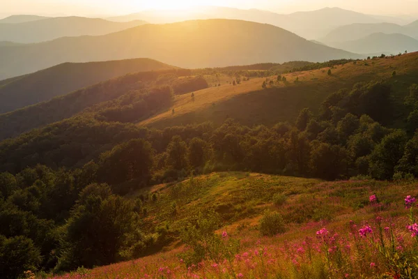 Batan Güneşin Aydınlattığı Dağ Yamaçlarının Muhteşem Manzarası Doğu Karpatlar Ukrayna — Stok fotoğraf