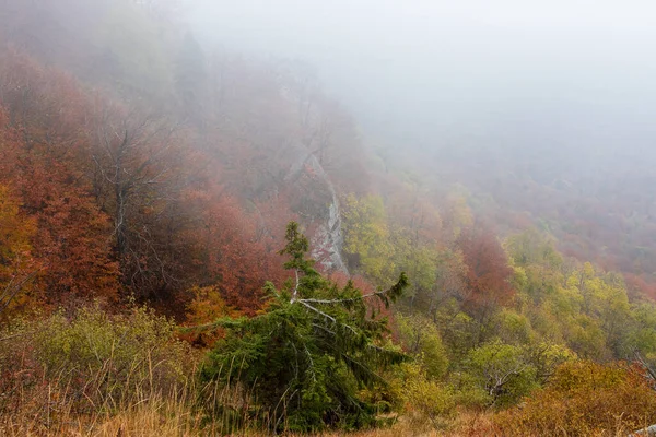 Golden Autumn Slopes Mountain Covered Fog Eastern Carpathians — Foto de Stock
