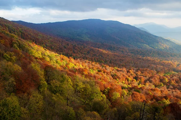 Golden Autumn Carpathians Wonderful View Valley Autumn Forest Eastern Carpathians — Fotografia de Stock