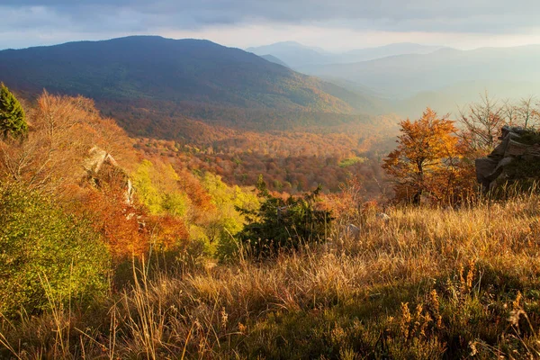 Golden Autumn Carpathians Wonderful View Valley Autumn Forest Eastern Carpathians — Foto de Stock