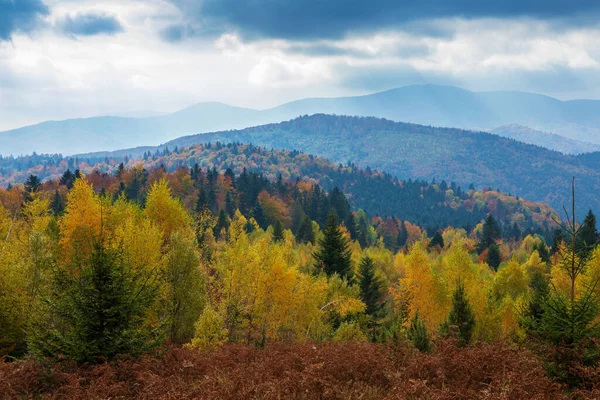 Wonderful View Autumn Landscape Eastern Carpathians Ukraine — Fotografia de Stock