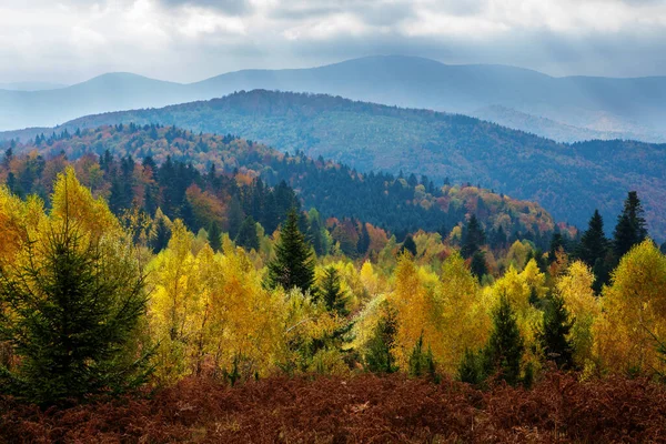 Wonderful View Autumn Landscape Eastern Carpathians Ukraine — Stock Photo, Image