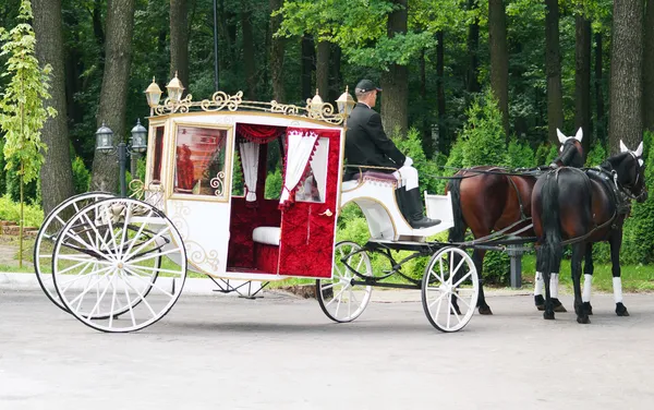 Carriage — Stock Photo, Image