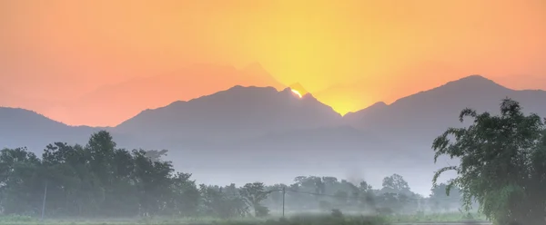 Тропический восход солнца Лицензионные Стоковые Фото