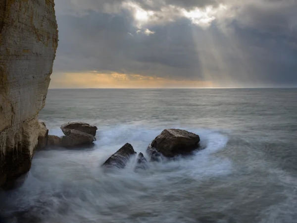 Pas de paix dans la nature — Photo