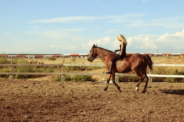 Blonde fille équitation baie cheval rapports non protégés — Photo