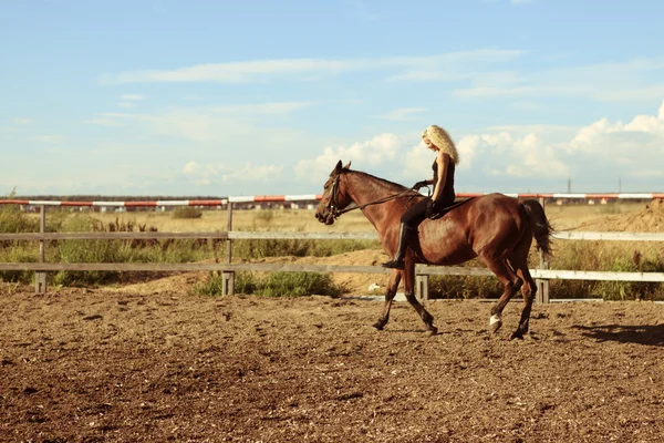 Blondýnka neosedlaném koni hnědák Stock Obrázky