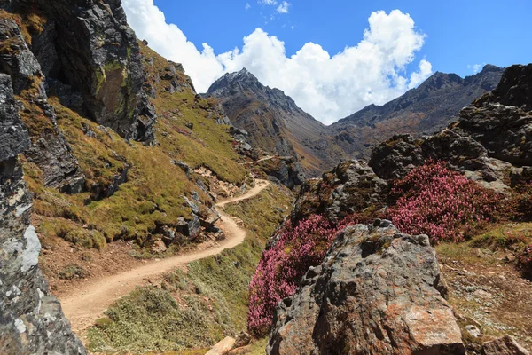 Pathway in Himalayas — Stock Photo, Image