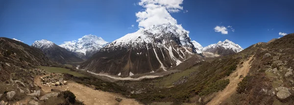 Trudno pahway w pustyni himalaya dolinie na wysokości 4000 mi — Zdjęcie stockowe