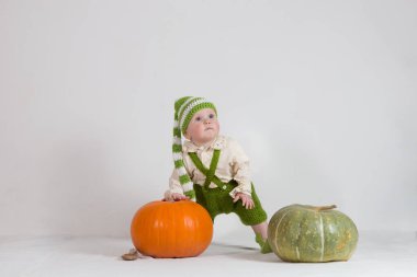 Leprikon kostümü giyen bebek turuncu ve yeşil büyük balkabakları arasında duruyor.