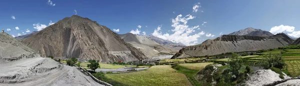 Groene Velden Rond Kagbeni Dorp Himalaya — Stockfoto