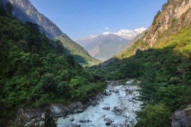 Himalayalar vadisindeki hızlı dağ nehri. Gün doğumunda.