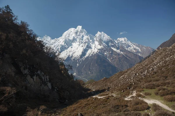 Sendero Largo Las Laderas Contra Telón Fondo Picos Nevados Himalaya —  Fotos de Stock