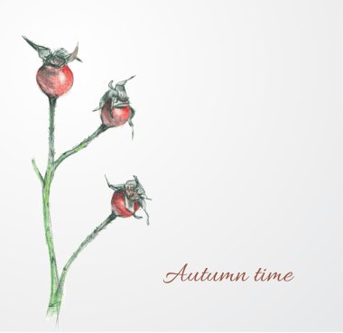 metni elle çizilmiş görüntü dog rose ve yer ile kart.
