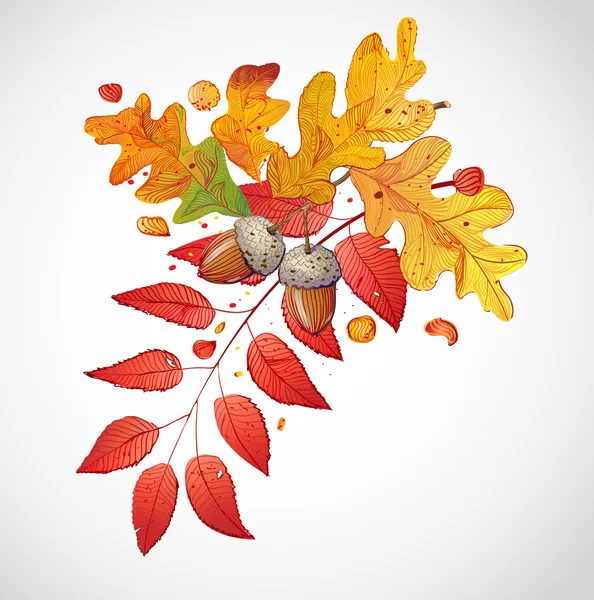 Floral herfst samenstelling. — Stockvector
