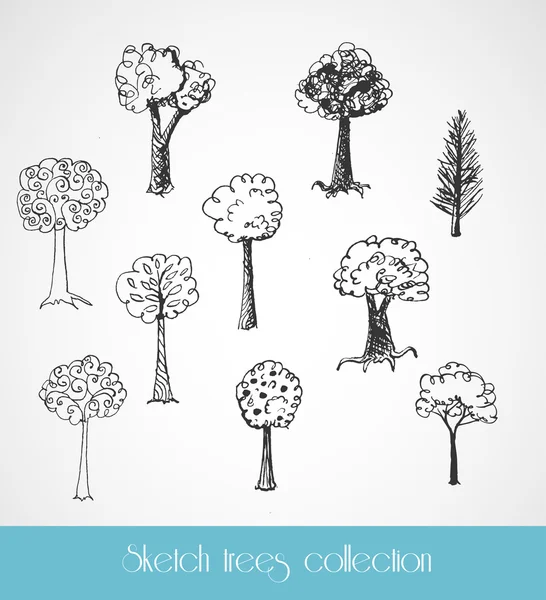 Collection of sketch trees — Stock Vector