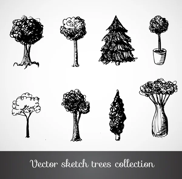 Colección de árboles de bocetos . — Vector de stock