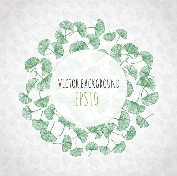 Fundo floral com folhas de gingko verde e lugar para o seu texto . — Vetor de Stock