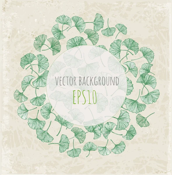 Fundo floral com folhas de gingko verde e lugar para o seu texto . — Vetor de Stock