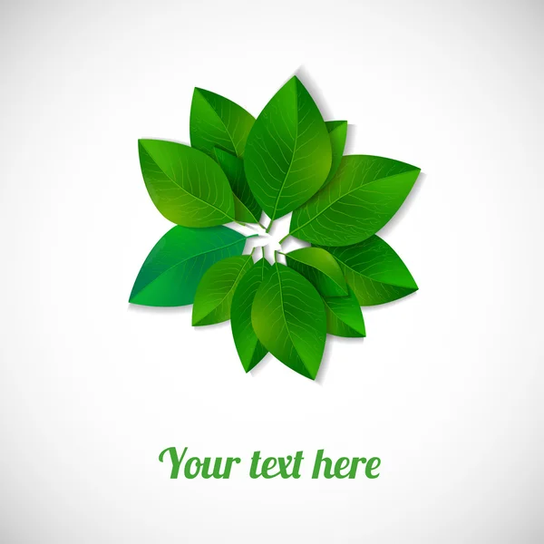 Círculo de hojas verdes — Archivo Imágenes Vectoriales