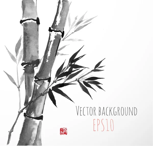 Bambus-ručně tažené s inkoustem — Stockový vektor