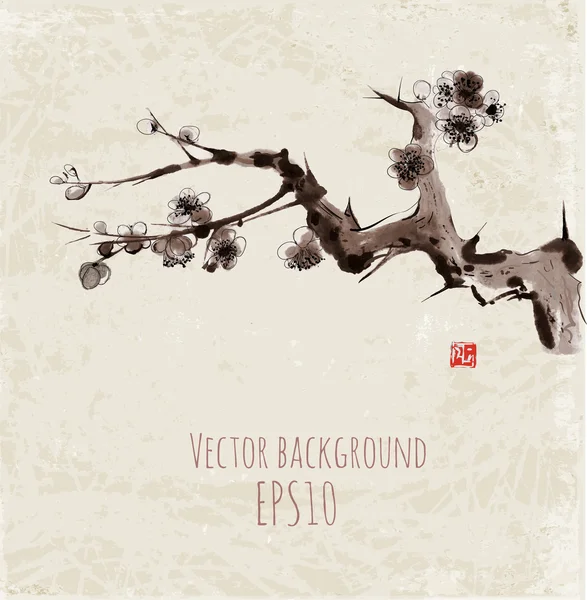 Sakura blossoms — Stockvector