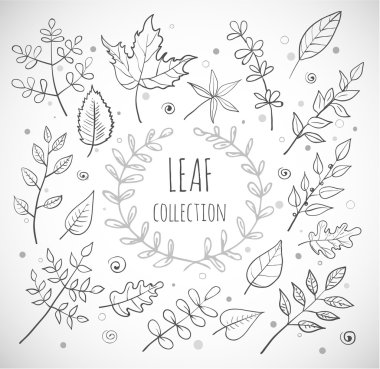 Leaves collection clipart