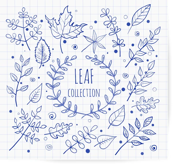 Sketch leaf collection on squared paper. — Stock Vector