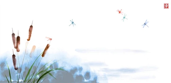 芦苇植物和蜻蜓手绘白底油墨 传统东方水墨画苏美 象形文字的翻译 — 图库矢量图片