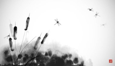 Kedi kuyruğu, sazlık bitkisi ve beyaz arka planda mürekkeple çizilmiş rüzgar sinekleri. Geleneksel oryantal mürekkep boyası sumi-e, u-sin, go-hua. Hiyeroglifin çevirisi - zen.