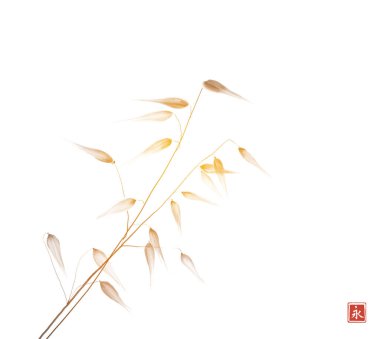 Beyaz arka planda yabani otlar. Geleneksel Japon mürekkep boyası sumi-e minimalist tarzda. Hiyeroglifin çevirisi - sonsuzluk.