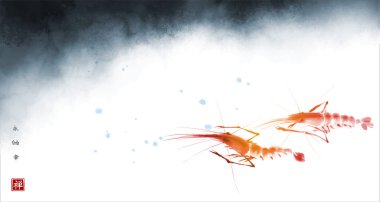 Derin suda iki karidesin mürekkep yıkama tablosu. Geleneksel oryantal mürekkep boyası sumi-e, u-sin, go-hua. Hiyeroglifler - sonsuzluk, özgürlük, mutluluk, zen.