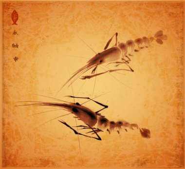 Kaliteli arka planda iki okyanus karidesinin mürekkep boyası. Geleneksel oryantal mürekkep boyası sumi-e, u-sin, go-hua. Hiyeroglifler - sonsuzluk, özgürlük, mutluluk