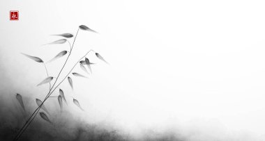 Beyaz arka planda yabani çayır çimenleri. Geleneksel oryantal mürekkep boyası sumi-e, u-sin, go-hua. Basit minimalist illüstrasyon. Hiyeroglifin çevirisi - sonsuzluk.