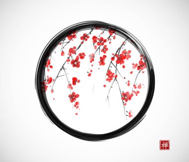Beyaz arka planda siyah enso zen çemberli çiçek açan Japon sakura eriğinin mürekkep resmi. Geleneksel oryantal mürekkep boyası sumi-e, u-sin, go-hua. Hiyeroglif- zen.