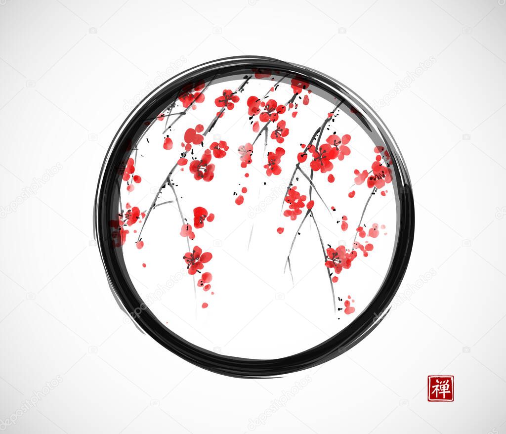 Ink painting of blossoming japanese sakura plum in black enso zen circle on white background. Traditional oriental ink painting sumi-e, u-sin, go-hua. Hieroglyph - zen.