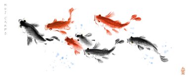 Sazan sürüsü ve mavi su damlaları. Geleneksel oryantal mürekkep boyası sumi-e, u-sin, go-hua. Hiyeroglif- balık.