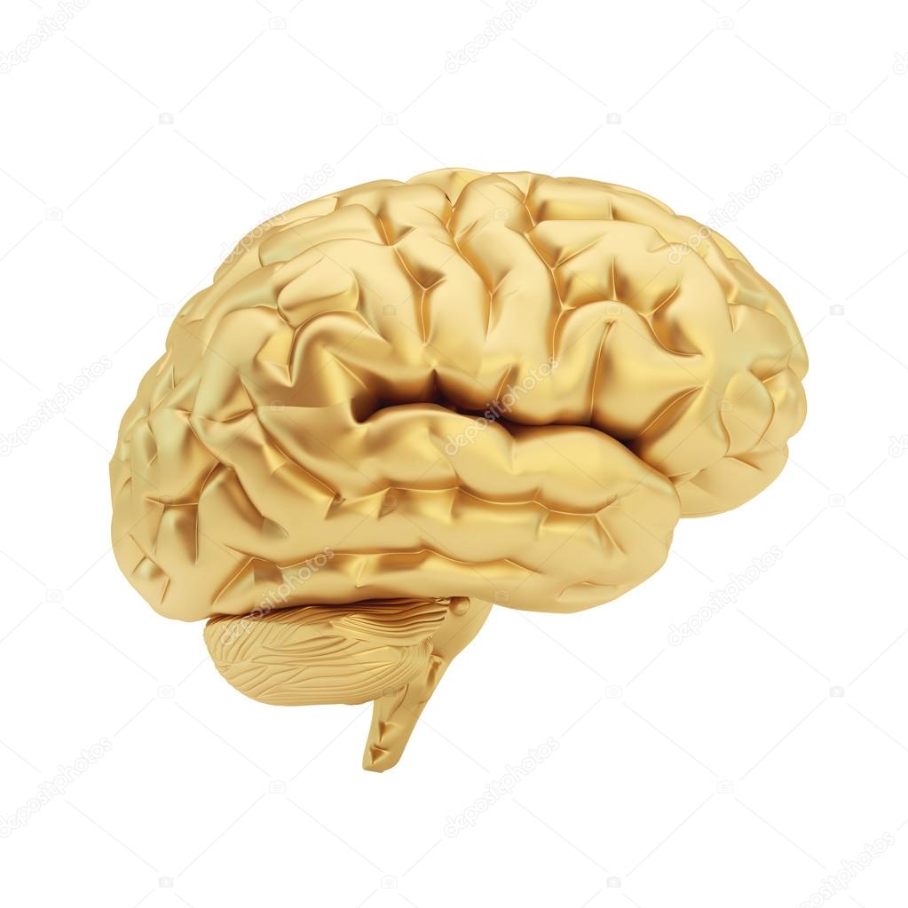 Golden brain isolated on a white background.