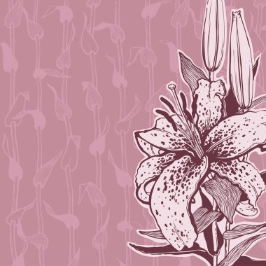 çiçek lily arka plan