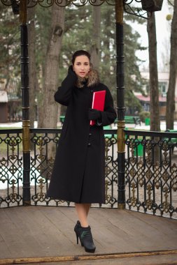 Dosyası olan genç bir iş kadını.