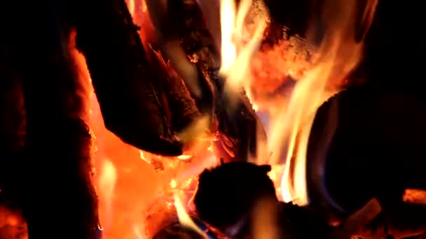 暖炉の薪の火傷からの高温の明るい火 — ストック動画