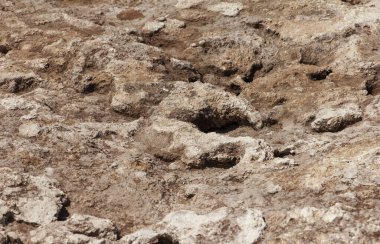 Tarihi eserleri aramak için yamacın yamacında kazılmış bir arkeolojik çukurun dibi. Arkeolojik çalışma