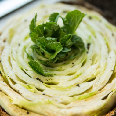 Pekin lahanalarının turba kaplarında yeniden filizlenmesi, toprağa ekilmek için bahar hazırlığı. kare