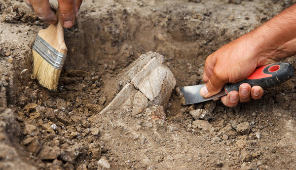 Archaeological excavations, archaeologists work, dig up an ancient clay artifact with special tools in soil