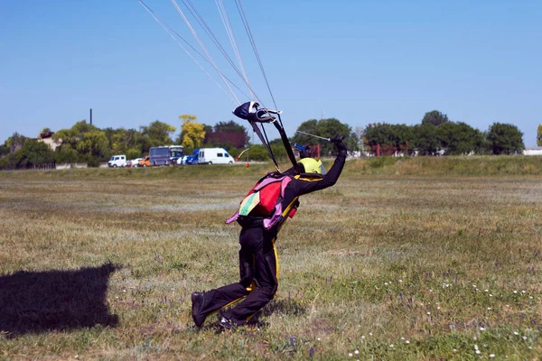 一位经验丰富的运动员跳伞成功着陆 用降落伞拉起吊索 — 图库照片